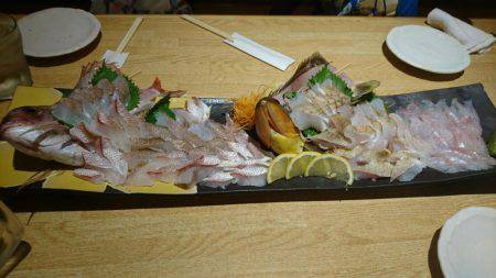 リトルワン 釣果