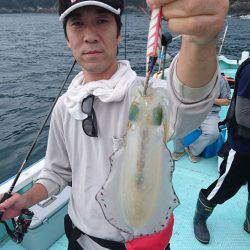 シードリーム 釣果