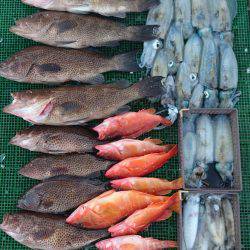 シードリーム 釣果