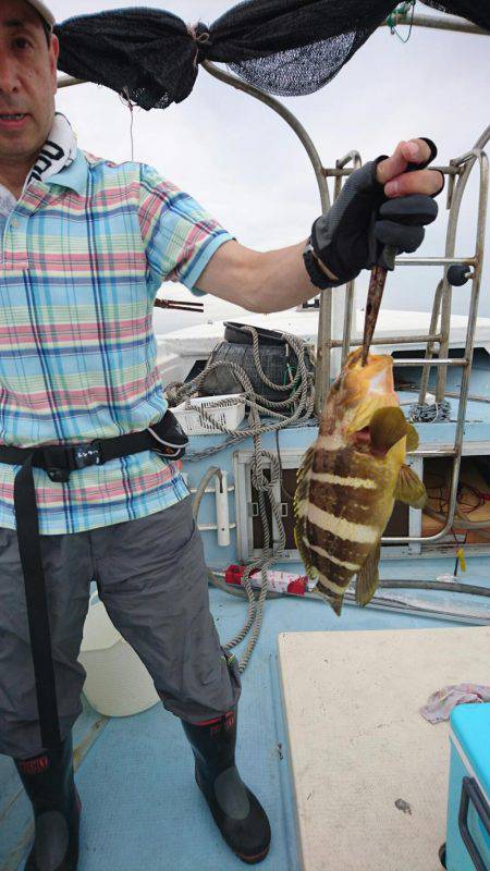 リトルワン 釣果