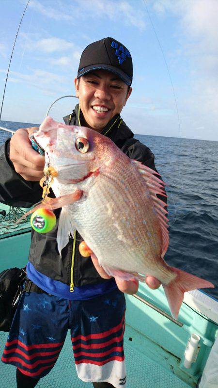 シードリーム 釣果