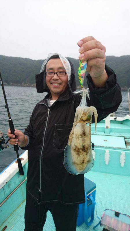 シードリーム 釣果