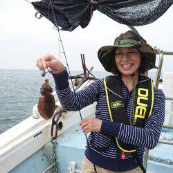 リトルワン 釣果