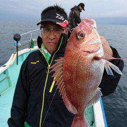 シードリーム 釣果