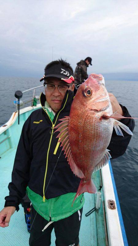 シードリーム 釣果