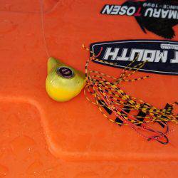 シードリーム 釣果