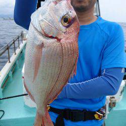 シードリーム 釣果