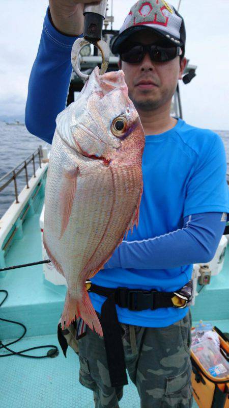 シードリーム 釣果