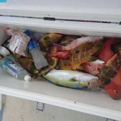 リトルワン 釣果