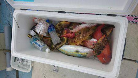 リトルワン 釣果