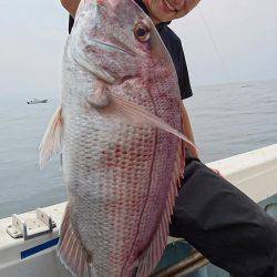 リトルワン 釣果