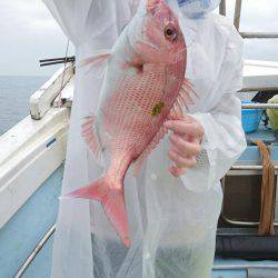 リトルワン 釣果