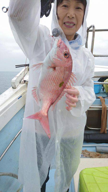 リトルワン 釣果