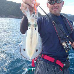 シードリーム 釣果