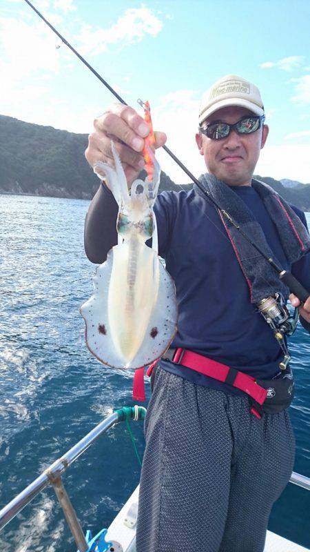 シードリーム 釣果