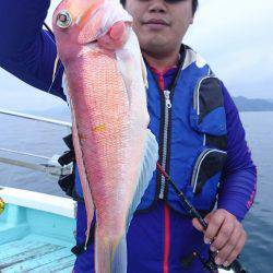 シードリーム 釣果