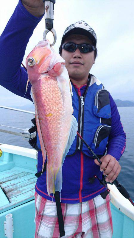 シードリーム 釣果