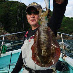 シードリーム 釣果