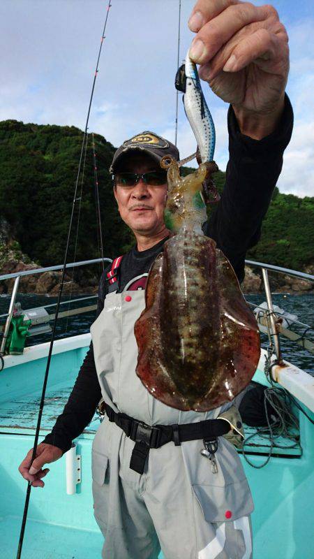 シードリーム 釣果