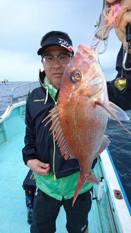 シードリーム 釣果