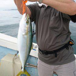 リトルワン 釣果