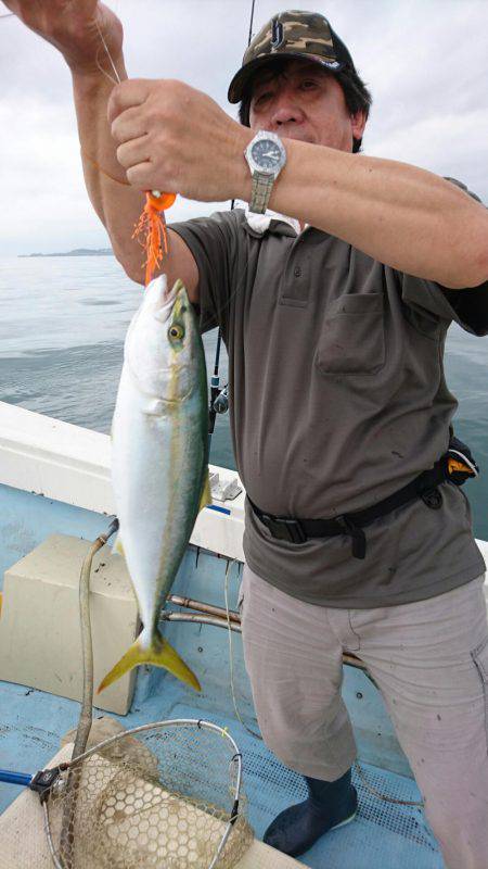 リトルワン 釣果