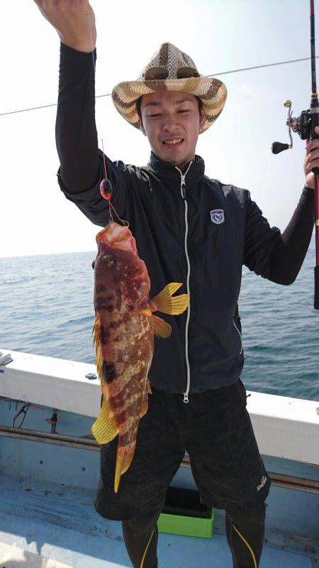 リトルワン 釣果