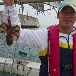 リトルワン 釣果