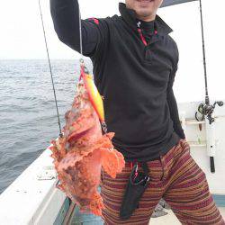 リトルワン 釣果