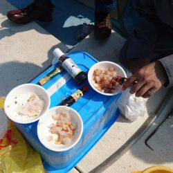 リトルワン 釣果