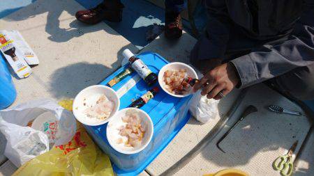 リトルワン 釣果