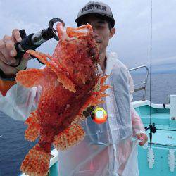 シードリーム 釣果