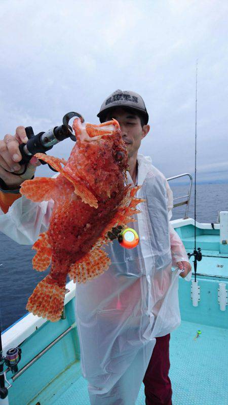 シードリーム 釣果