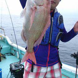 シードリーム 釣果