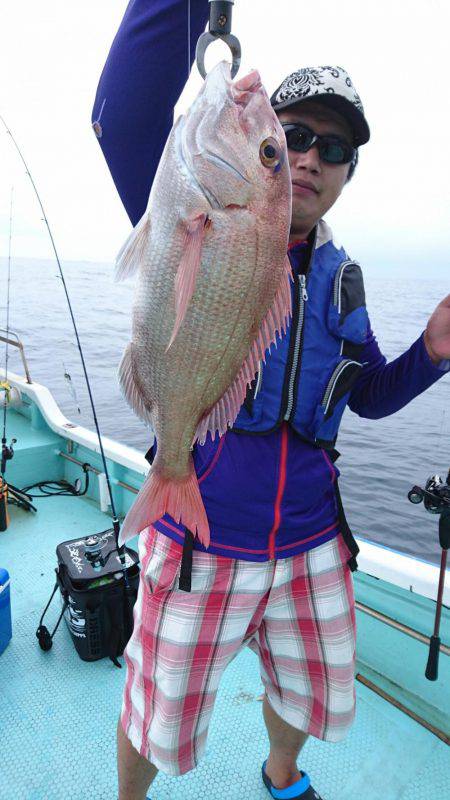 シードリーム 釣果