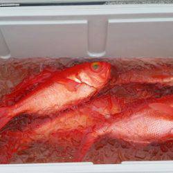 番匠高宮丸 釣果