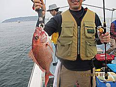 遊漁船 未紗奈 釣果