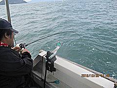 遊漁船 未紗奈 釣果