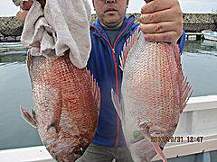 遊漁船 未紗奈 釣果