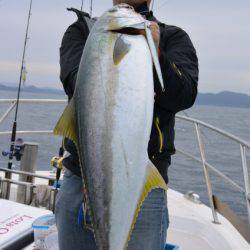 ジギング船 BLUEWATER 釣果