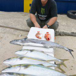 ジギング船 BLUEWATER 釣果