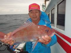 増福丸 釣果