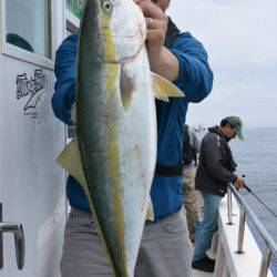 ジギング船 BLUEWATER 釣果