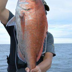 ジギング船 BLUEWATER 釣果