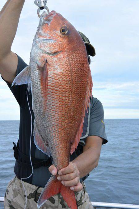 ジギング船 BLUEWATER 釣果