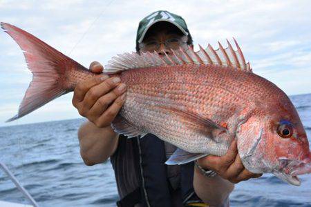 ジギング船 BLUEWATER 釣果