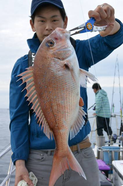 ジギング船 BLUEWATER 釣果