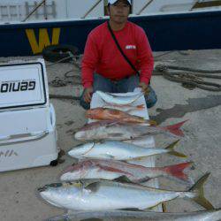 ジギング船 BLUEWATER 釣果