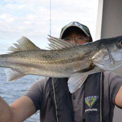 ジギング船 BLUEWATER 釣果