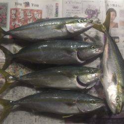 ショアジギング